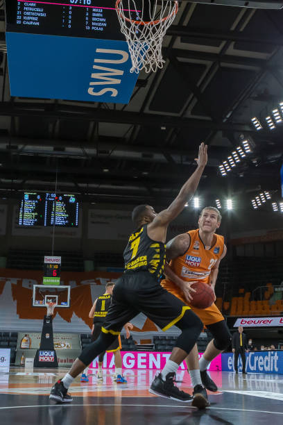 他的到来 他的到来